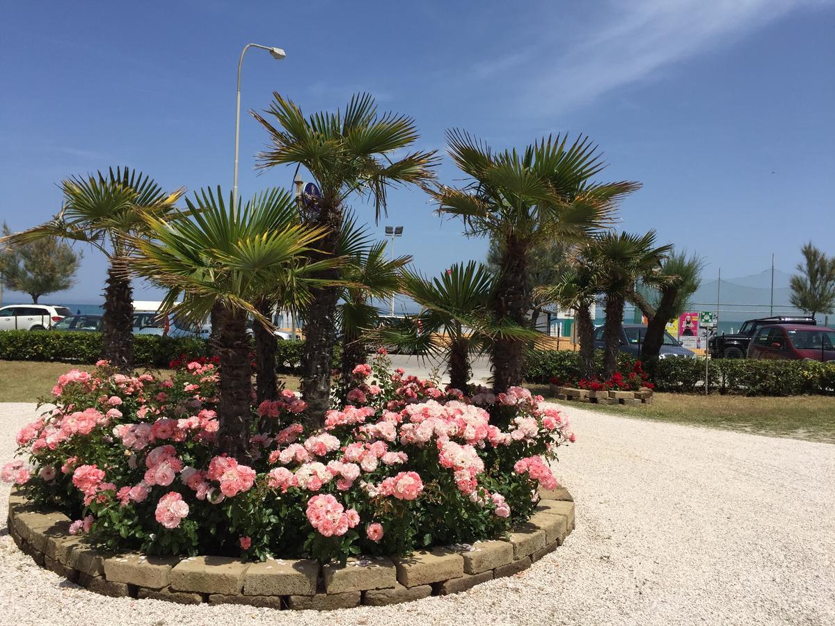 Hotel Tritone سينِغاليا المظهر الخارجي الصورة